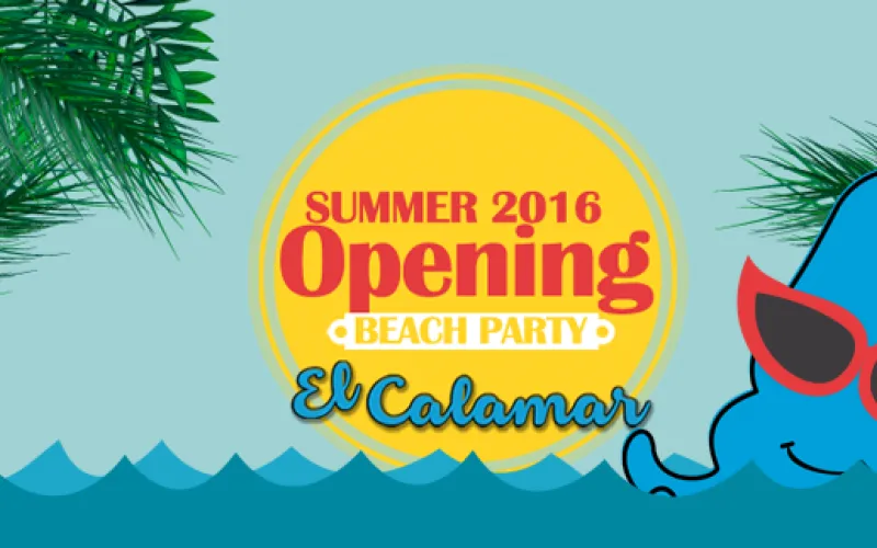 Opening Beach Party, Summer 2016 