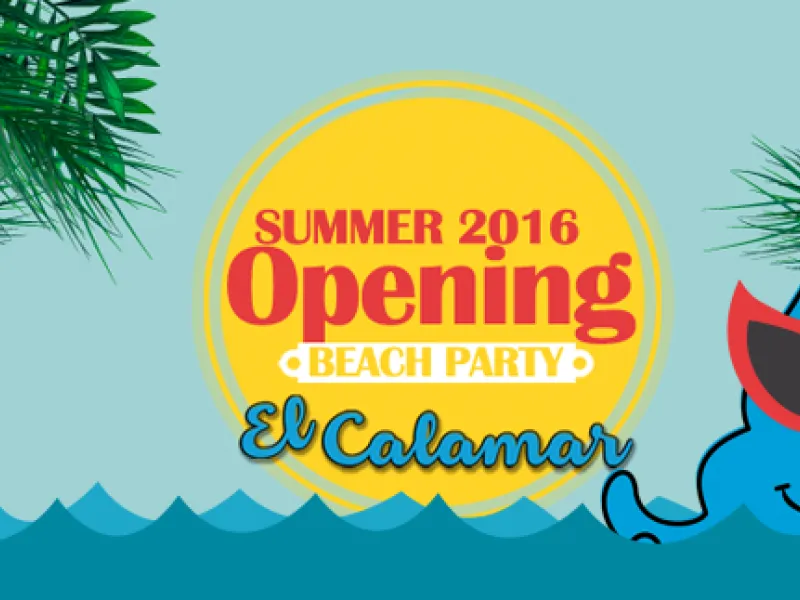 Opening Beach Party, Summer 2016 