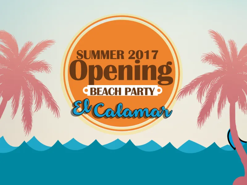 Opening Beach Party, Summer 2017 